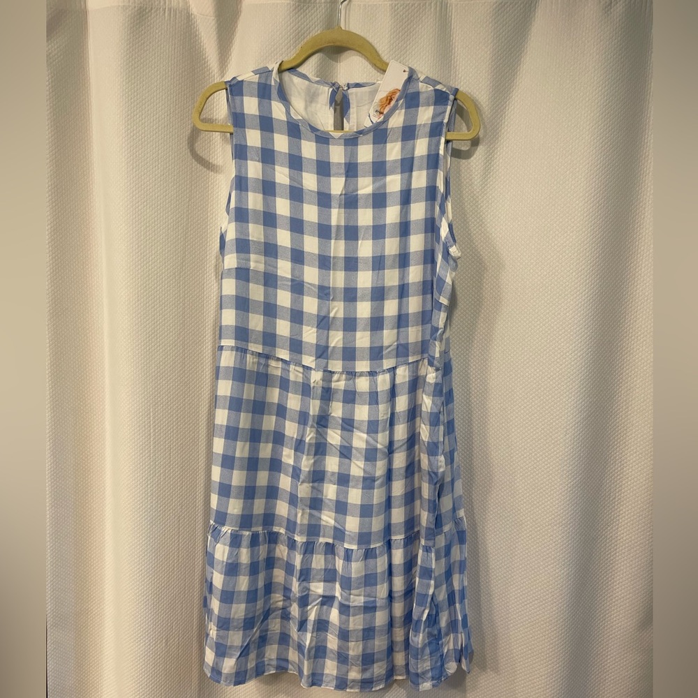 NWT, Pretty Garden blue checkered dress, size L (12-14).